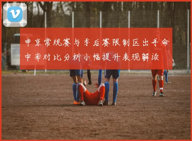 申京常规赛与季后赛限制区出手命中率对比分析小幅提升表现解读