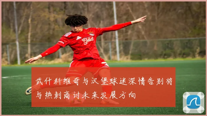 武什科维奇与汉堡球迷深情告别将与热刺商讨未来发展方向