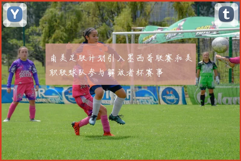 南美足联计划引入墨西哥联赛和美职联球队参与解放者杯赛事